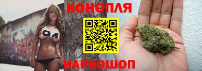 молекула духа Пугачёв