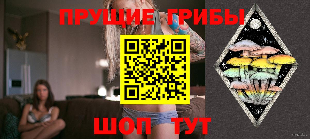 Сегежа  Псилоцибиновые грибы GOLDEN TEACHER  Вход с VPN 